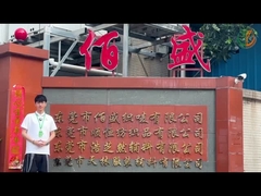 यंगर गारमेंट एक्सेसरीज कं, लिमिटेड